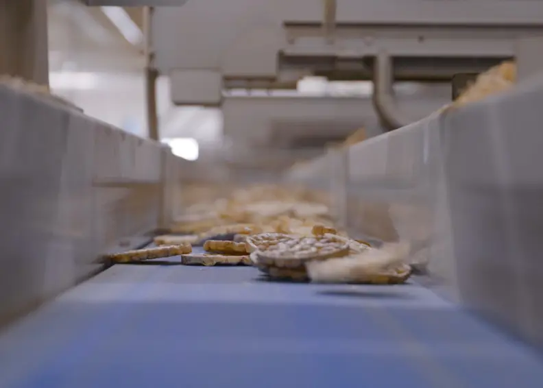 Foto Van Rijstwafels In Supply Chain Keten Bij Sanorice