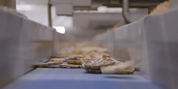 Foto Van Rijstwafels In Supply Chain Keten Bij Sanorice